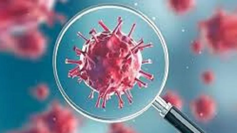 covid 19 patient found in ratnagiri Most patients found Chiplun taluka