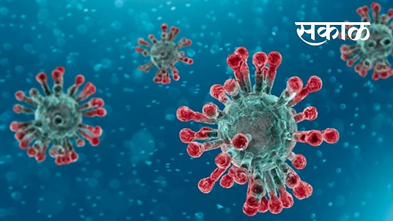 3,483 corona positive in Vidarbha 29 dead corona update}