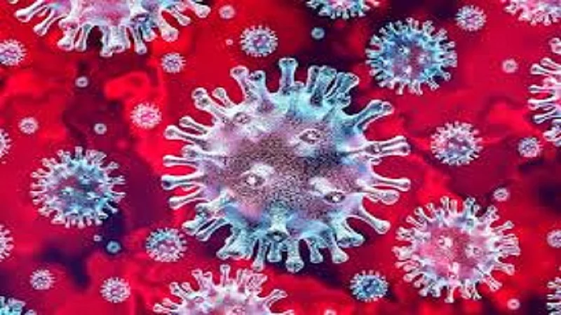 corona positive cases are increased in ratnagiri