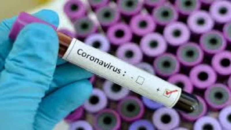 why number of corona patients get reduced day by day in nagpur