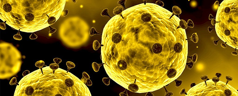 The number of tests decreased in Sangali; The number of patients is also low