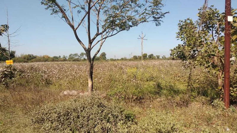 Akola News; Agriculture and farmers are in trouble due to wrong policy of MSEDCL