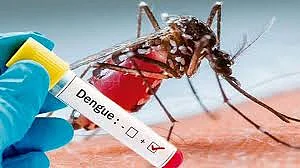 Akola News: Dengue patients increase; NCPs warning of agitation