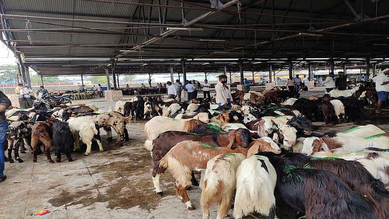 देवनारमधील पशुवधगृहातील बकऱ्यांच्या खरेदी-विक्रीला सुरुवात