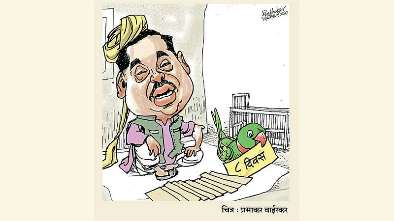 ढिंग टांग : अकरा दिवस!