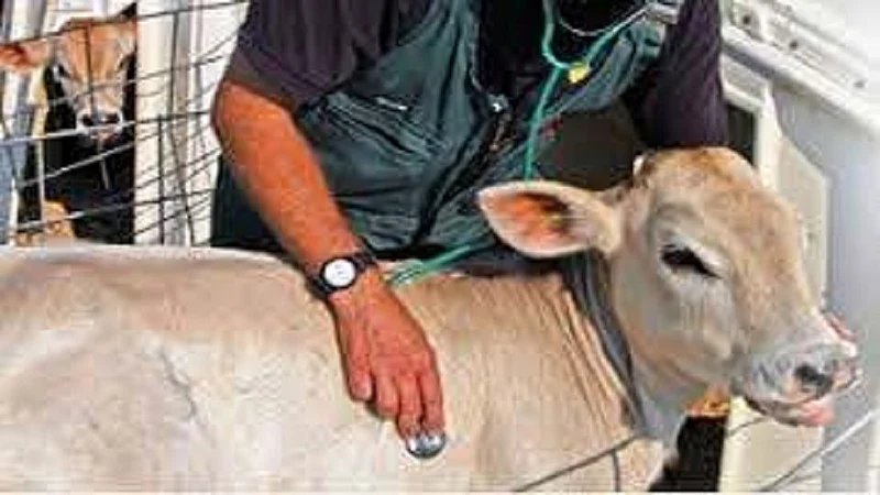 Timings of Veterinary clinics may change in state