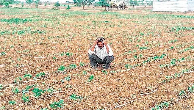 farmer