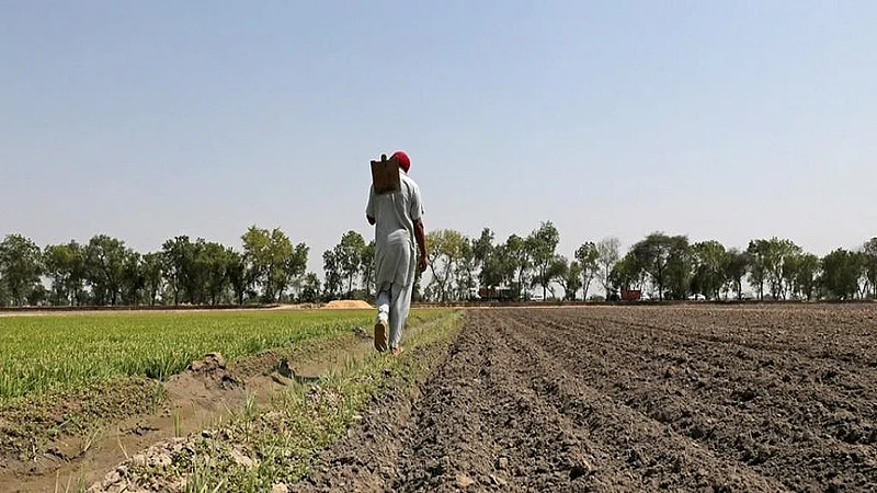 farmer nashik 1.jpg