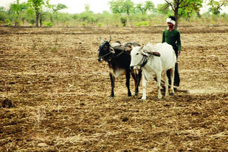 farmers in buldana.jpg