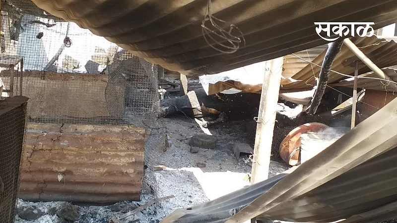 crop and cattle caught fire in hinganghat of wardha