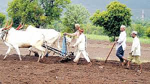 Farmer Photo Crop Loan