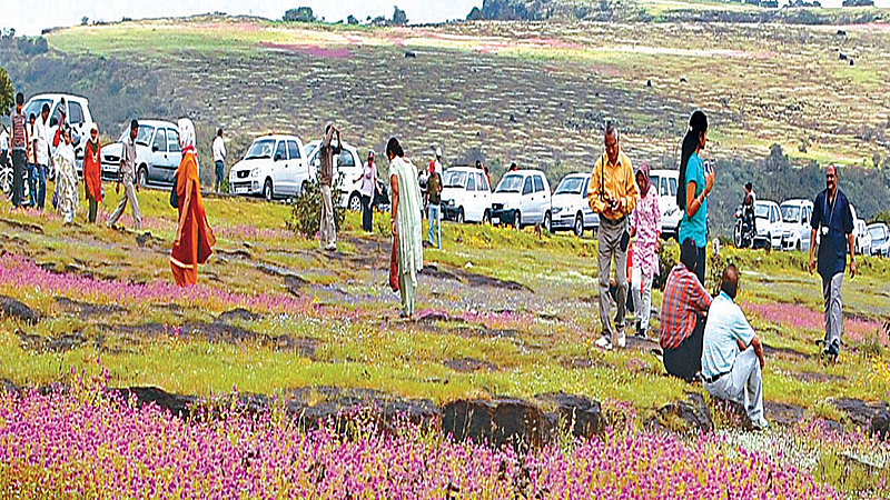 patan