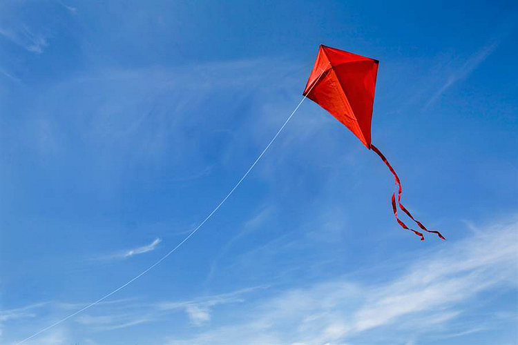 kite