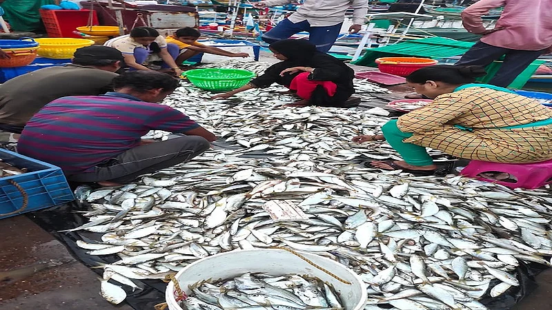 An average of one crore fish per day abroad Paplet demand for White Chinglam are the most common