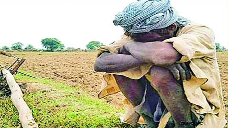 शेतकरी अडचणीत