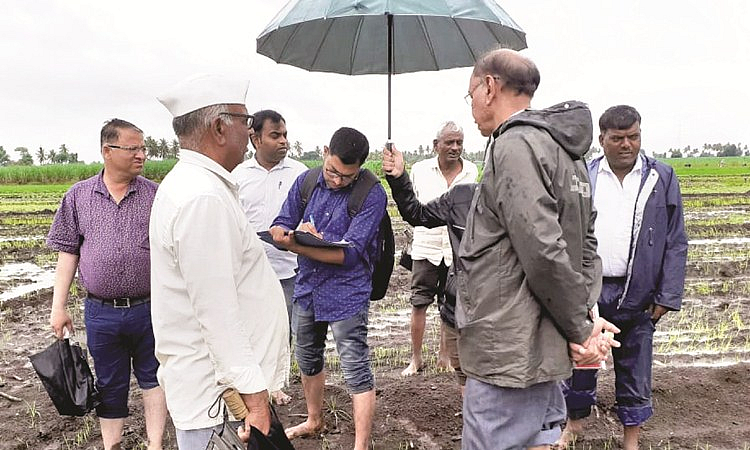 गावे ८९ अन् केवळ पाच कृषी साहाय्यक