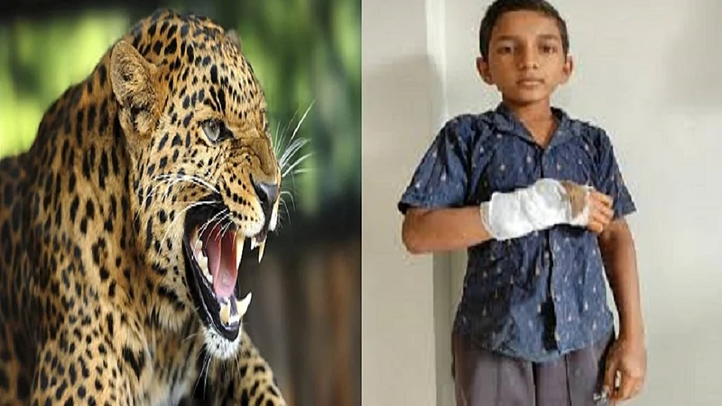 leoaprd.jpg