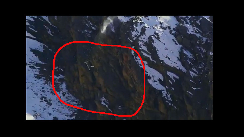 snow leopard fall mountain happens rare footage video viral