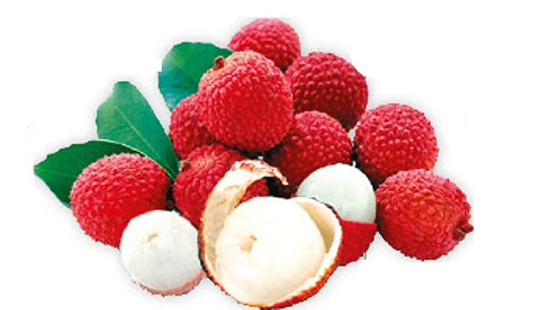 lichi