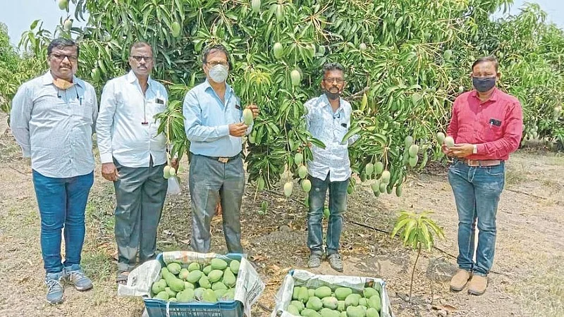 Satara Latest Marathi News