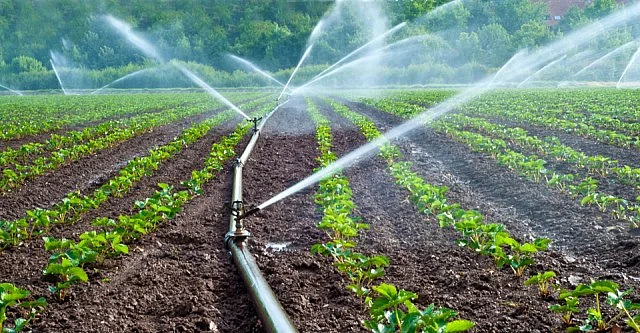 micro-irrigation