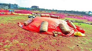 nandurbar rain