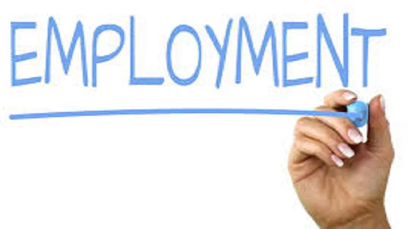 employment generation is done in nipani with the help of project of home in belgaum