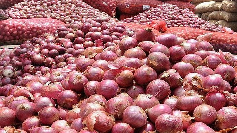 onion-2-6410.jpg