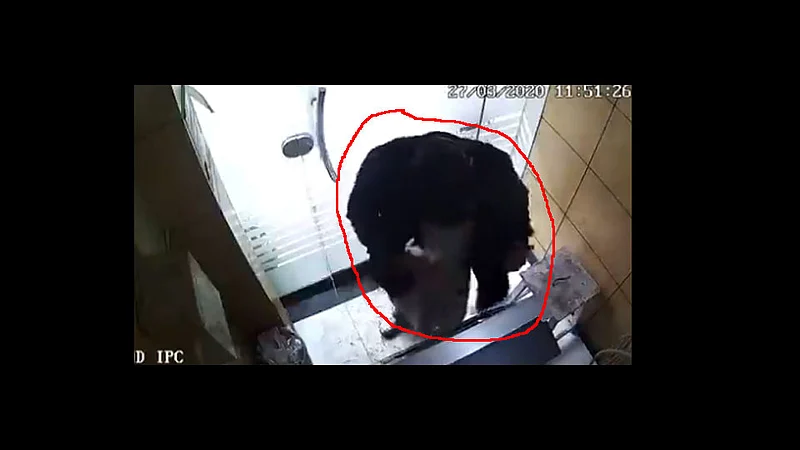 pakistani man stole sanitizer from atm cctv video viral