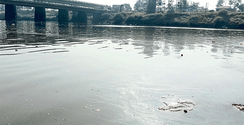 increase of panchganga river pollution