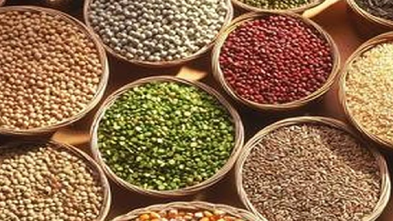 nutritious food stolen in pulgaon of wardha