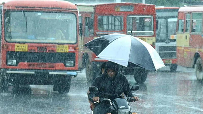 Akola: It will rain from Sunday, do crop planning to avoid damage
