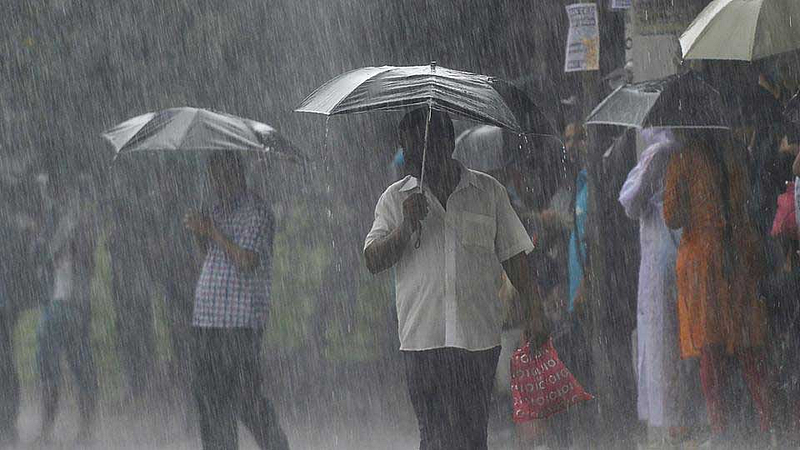 Rain