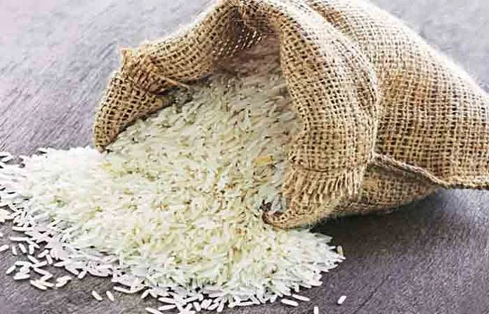 36 thousand quintal paddy Sindhudurg district