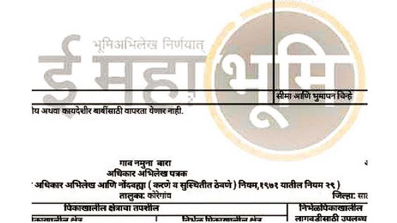 सातबारा उताऱ्यांवर "ध'चा "मा'! चुकांमुळे नागरिक त्रस्त