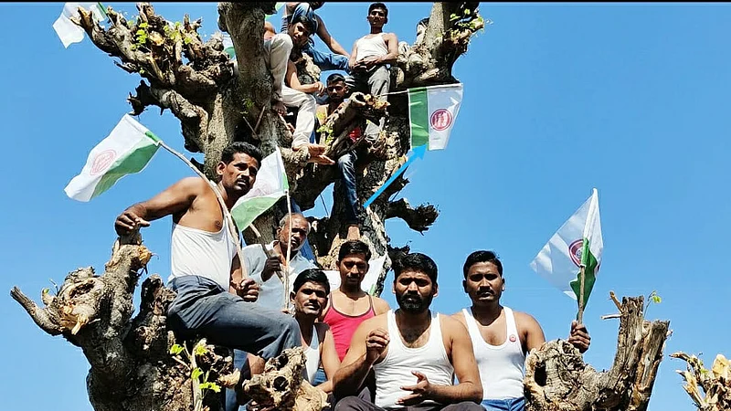 Akola News: Swabhimanis self-torture agitation by climbing a tree to repeal anti-farmer agriculture bill