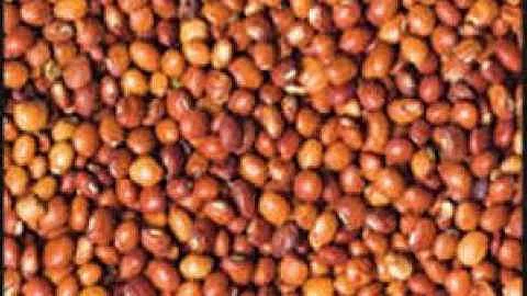 farmers registered for toor selling in amravati
