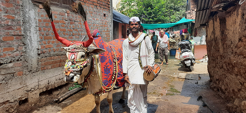 उमरेडः पोटापाण्याचा प्रश्न सोडविण्यासाठी नंदी घेऊन गावोगावी फिरणारा नंदीवाला.