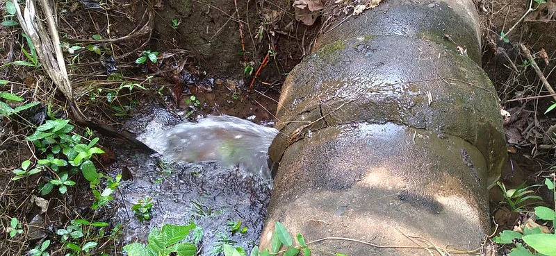 wafoli dam leakage konkan sindhudurg}