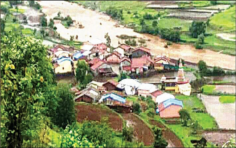 Akola Washim News Wildlife has led farmers to commit suicide, with very little compensation; Villages adjacent to the forest are covered with dew