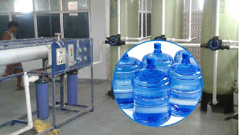 water plant.jpg