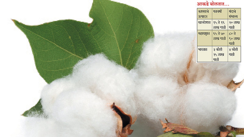 white cotton