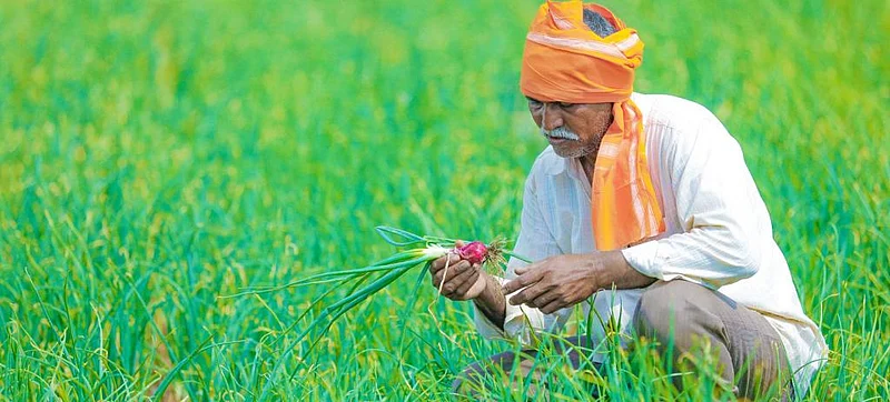 farmer