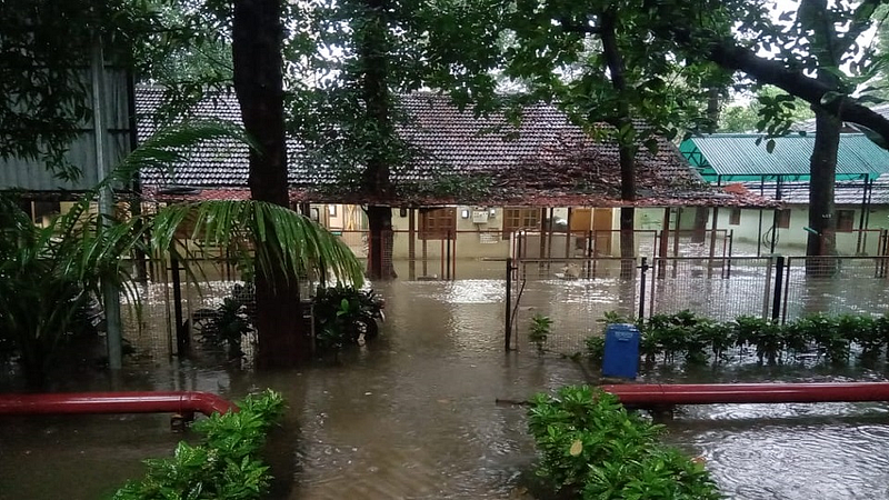 मुंबई पालिकेच्या रुग्णालयांना पावसाचा फटका; नायर, कस्तुरबा, जे.जे. रुग्णालयात पाणीच पाणी, ओपीडीमध्ये रुग्णांचे हाल