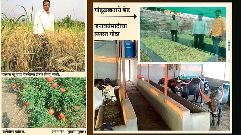 उत्पन्नाचे मार्ग व्यापक करणारी एकात्मिक शेती