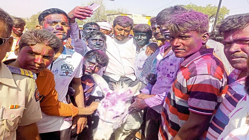 Beed News