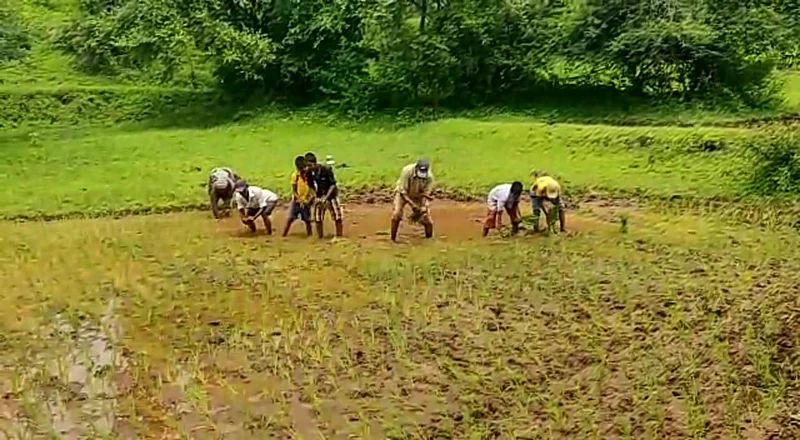Help the parents of the students in the field as the school is closed