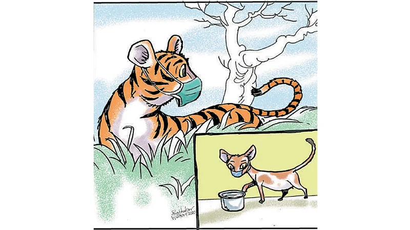 ढिंग टांग : क्वारंटाइन लाइफ!