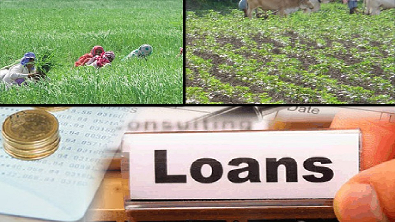 arrears farmers, on the other hand, did not even get loans