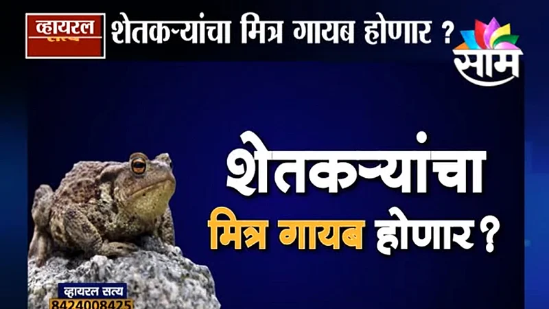 Farmers friends the frogs will disappear